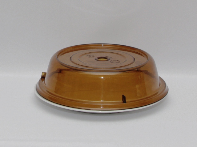 Rental store for PLATE COVER  SMOKED  FOR 10.25  PLATES in Philadelphia NJ