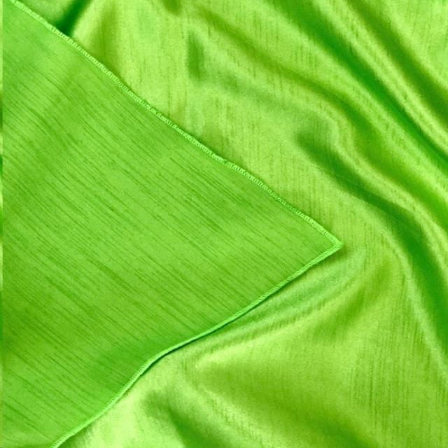 Rental store for 108  ROUND - DUPIONI - LIME in Philadelphia NJ