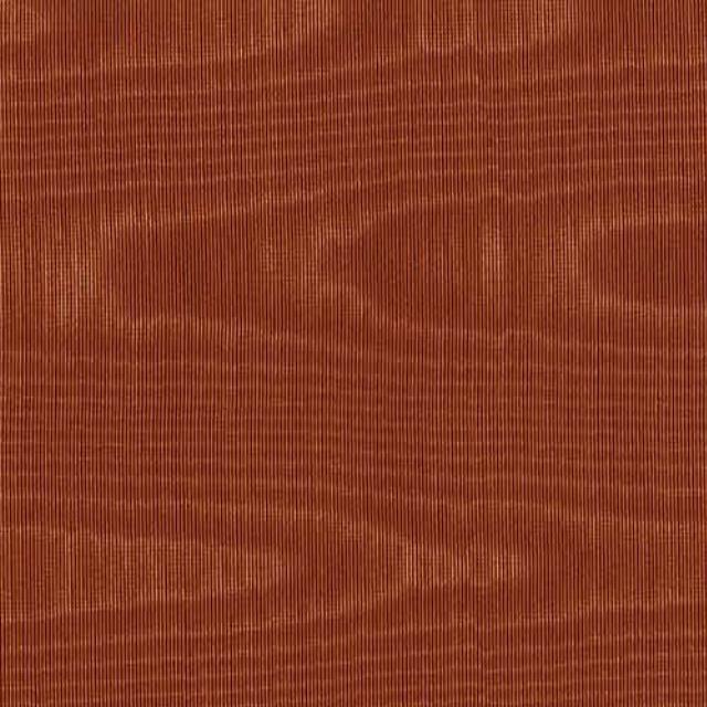 Rental store for BENGALINE BURNT ORANGE in Philadelphia NJ