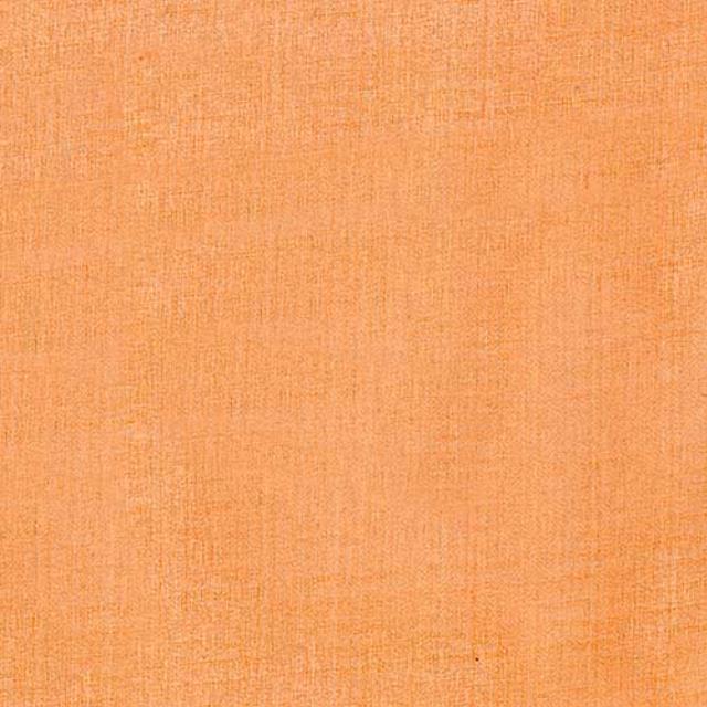 Rental store for ORGANZA ORANGE in Philadelphia NJ