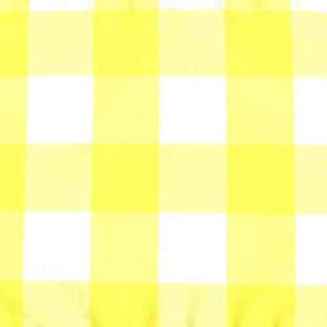 Rental store for CHECKS YELLOW in Philadelphia NJ