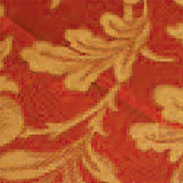 Rental store for LUCERNE LACE GOLD in Philadelphia NJ