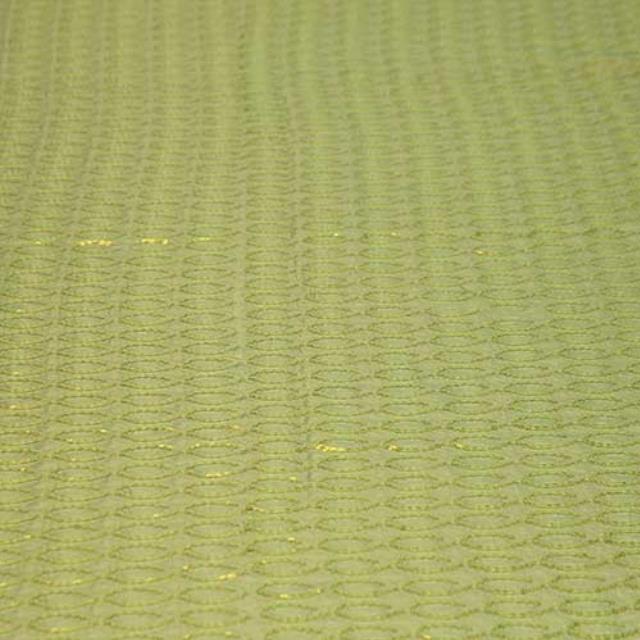 Rental store for HELIX SEQUIN LIME in Philadelphia NJ