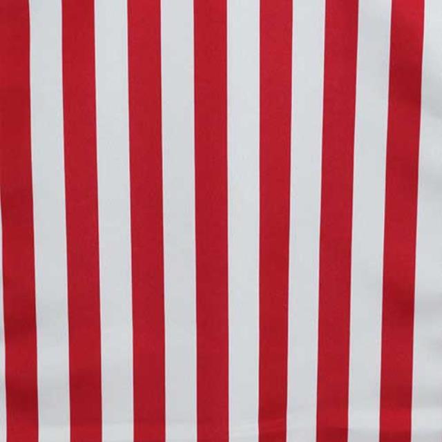 Rental store for AWNING STRIPE RED in Philadelphia NJ