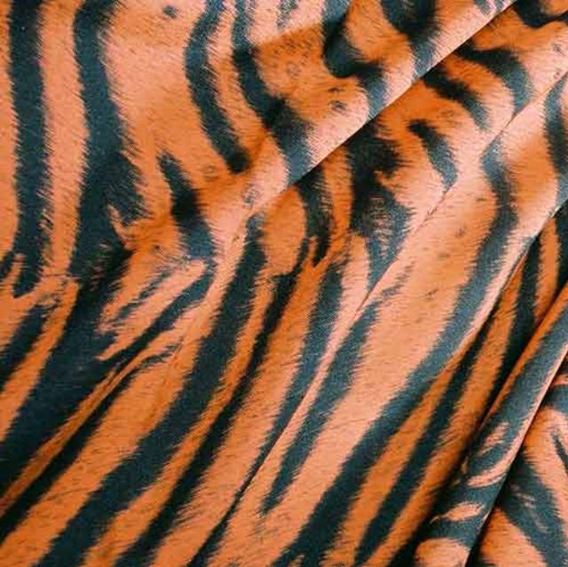 Rental store for TIGER in Philadelphia NJ