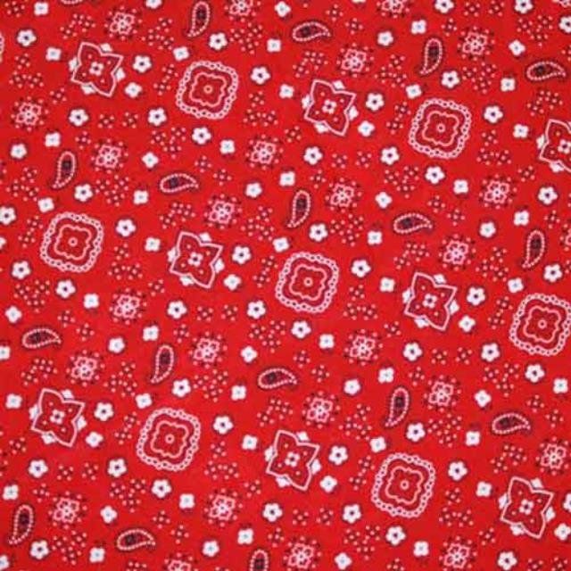 Rental store for BANDANA RED in Philadelphia NJ